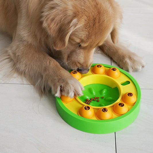 Weisheit Hund Spielzeug Langsam Leckage Fütterung Ausbildung